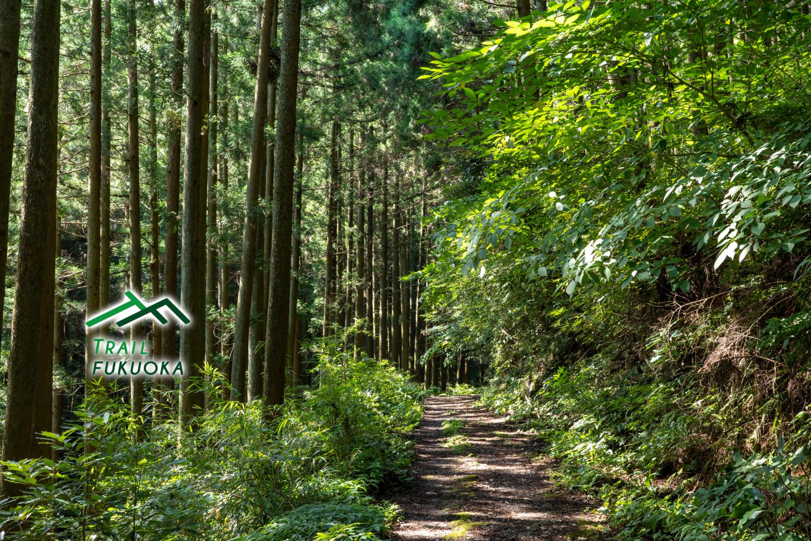 井原山-1