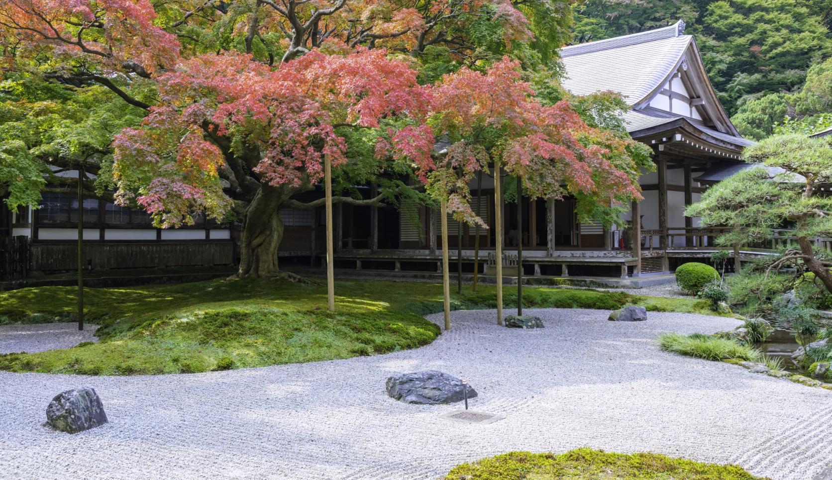 후쿠오카의 '일본 정원' 볼거리 소개! 카페, 녹차를 마실 수 있는 스폿까지-1