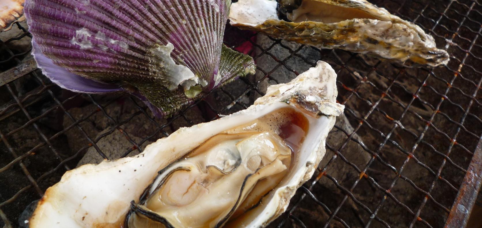 【2025】糸島牡蠣小屋を味わう！