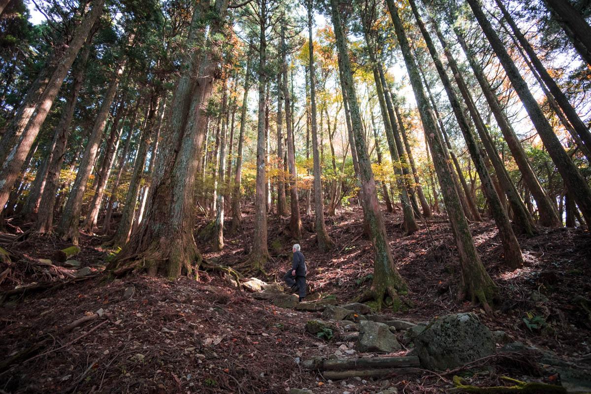 Mt. Hiko: Fukuoka's Sacred Mountain, Pilgrimage Route, and Autumn Leaves Spot