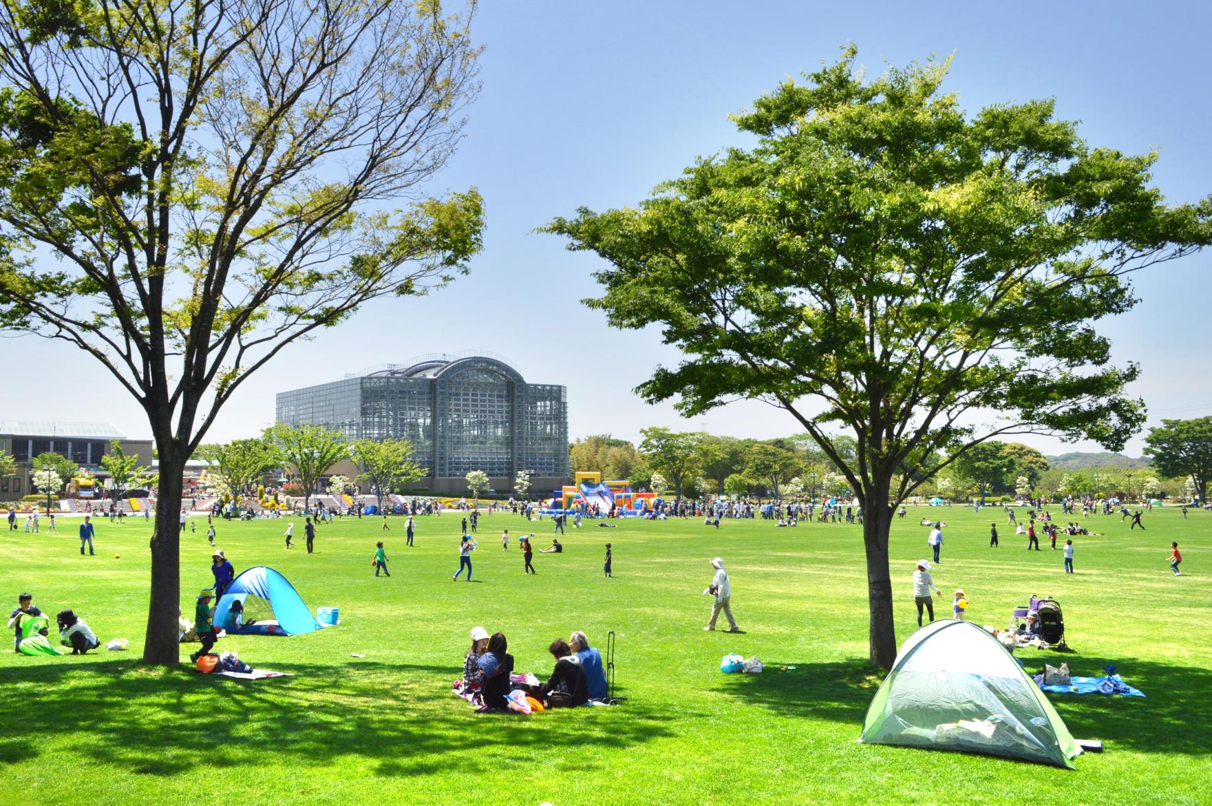 遊び、スポーツ、散策から絶景まで♪ 福岡のおすすめ公園15選