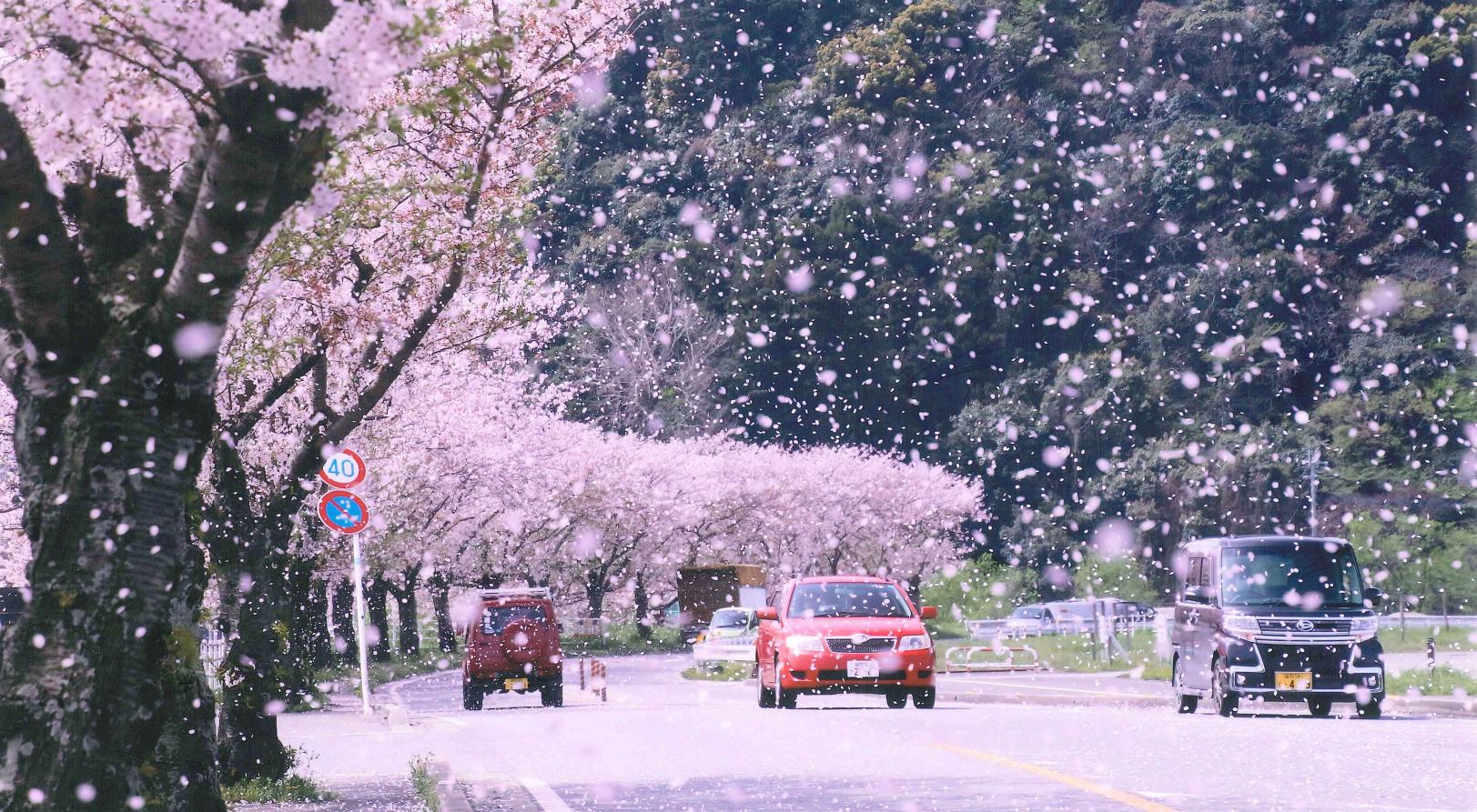 久山町観光ガイド【福岡エリア】-1