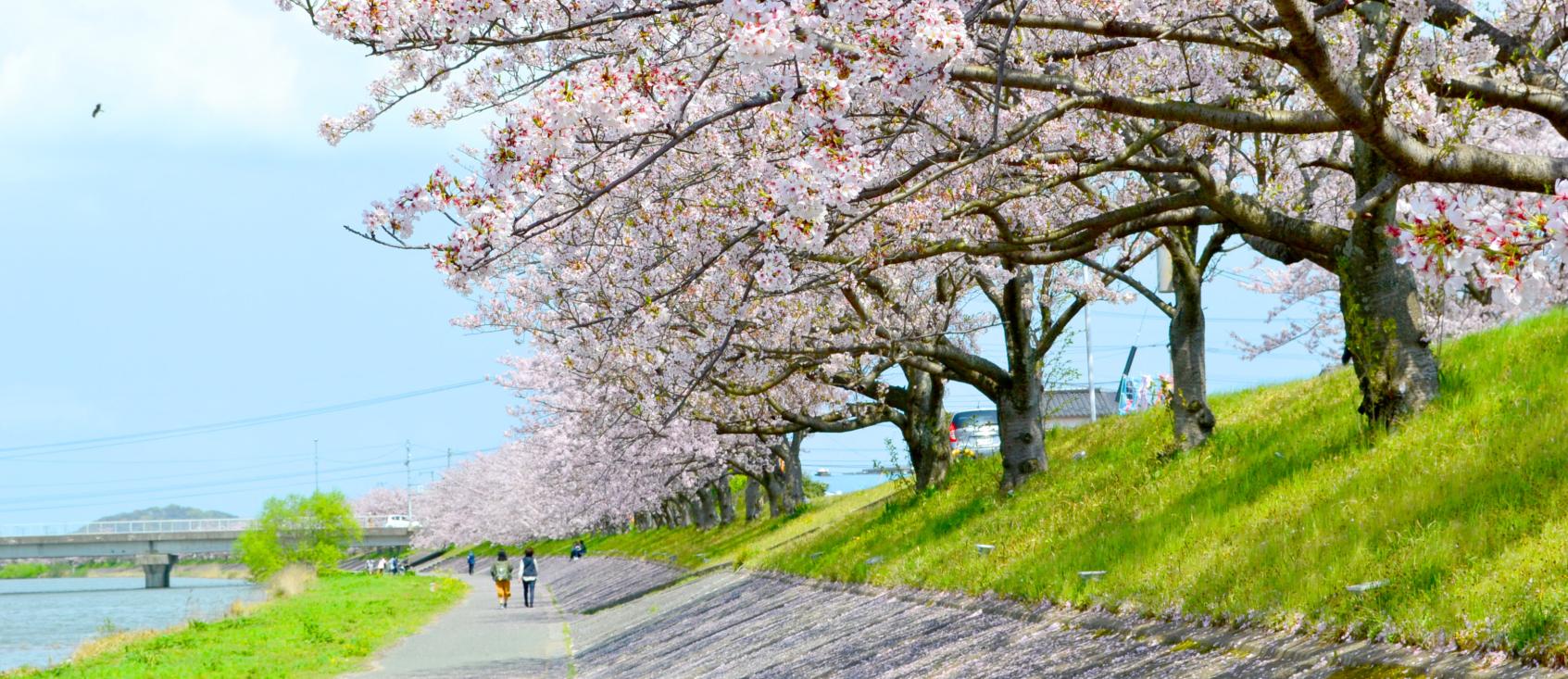 行橋市観光ガイド【北九州エリア】-1