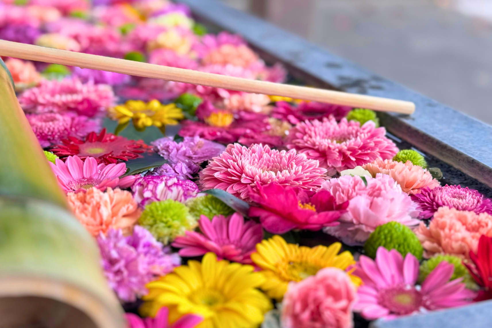 【2025】糸島花手水