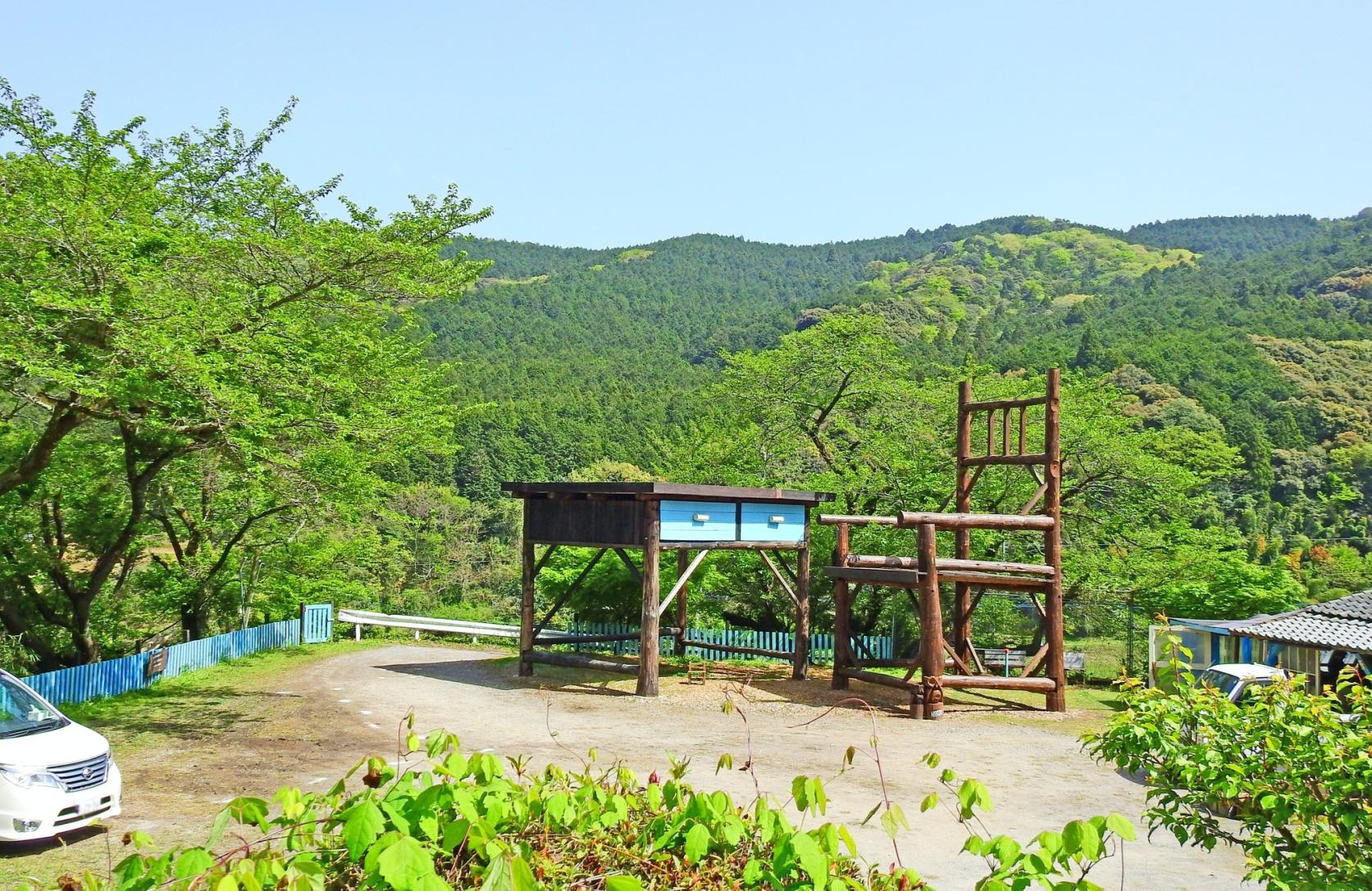 在福岡的自然中邂逅多樣藝術──14處藝術景點精選-1