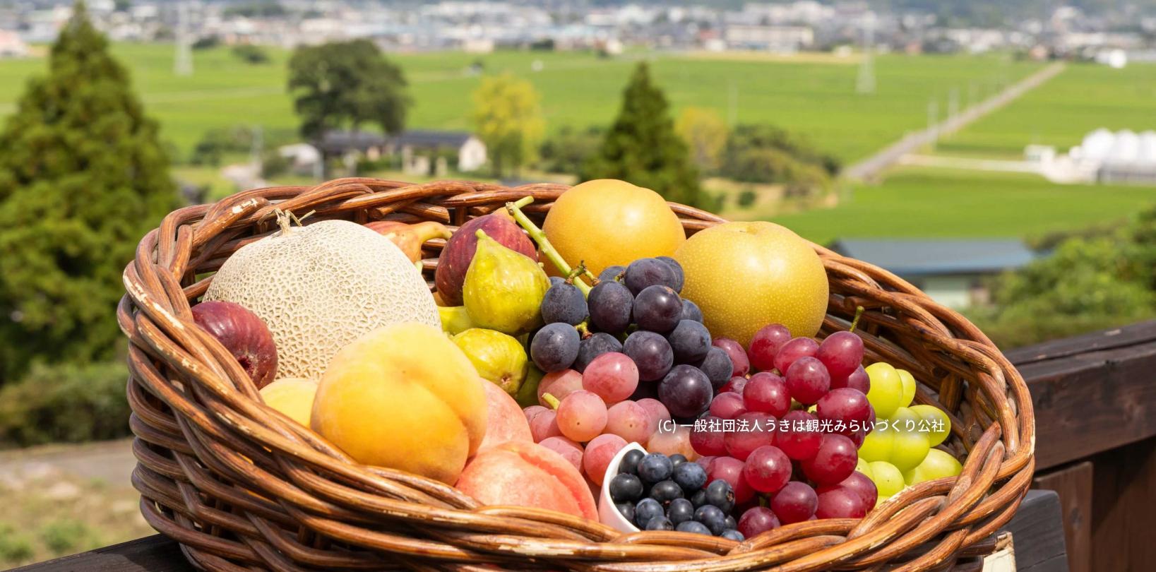 A guide to enjoying fruit picking in Fukuoka all year round! Featuring farms with all-you-can-eat options and attached cafes-1