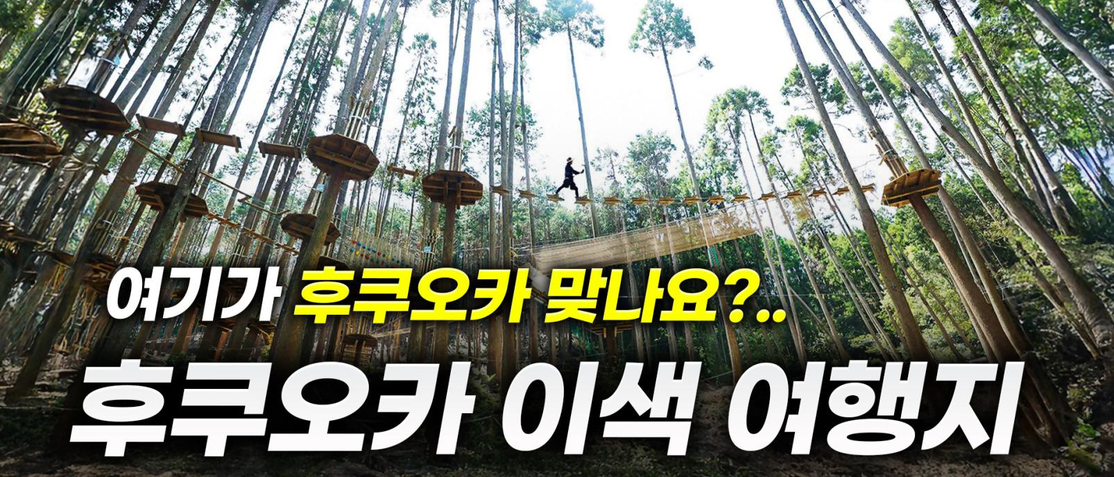 후쿠오카에 꼭 가야 하는 이유｜후쿠오카를 100번 방문해도 몰랐던 이색 명소 (+맛집·숙소)