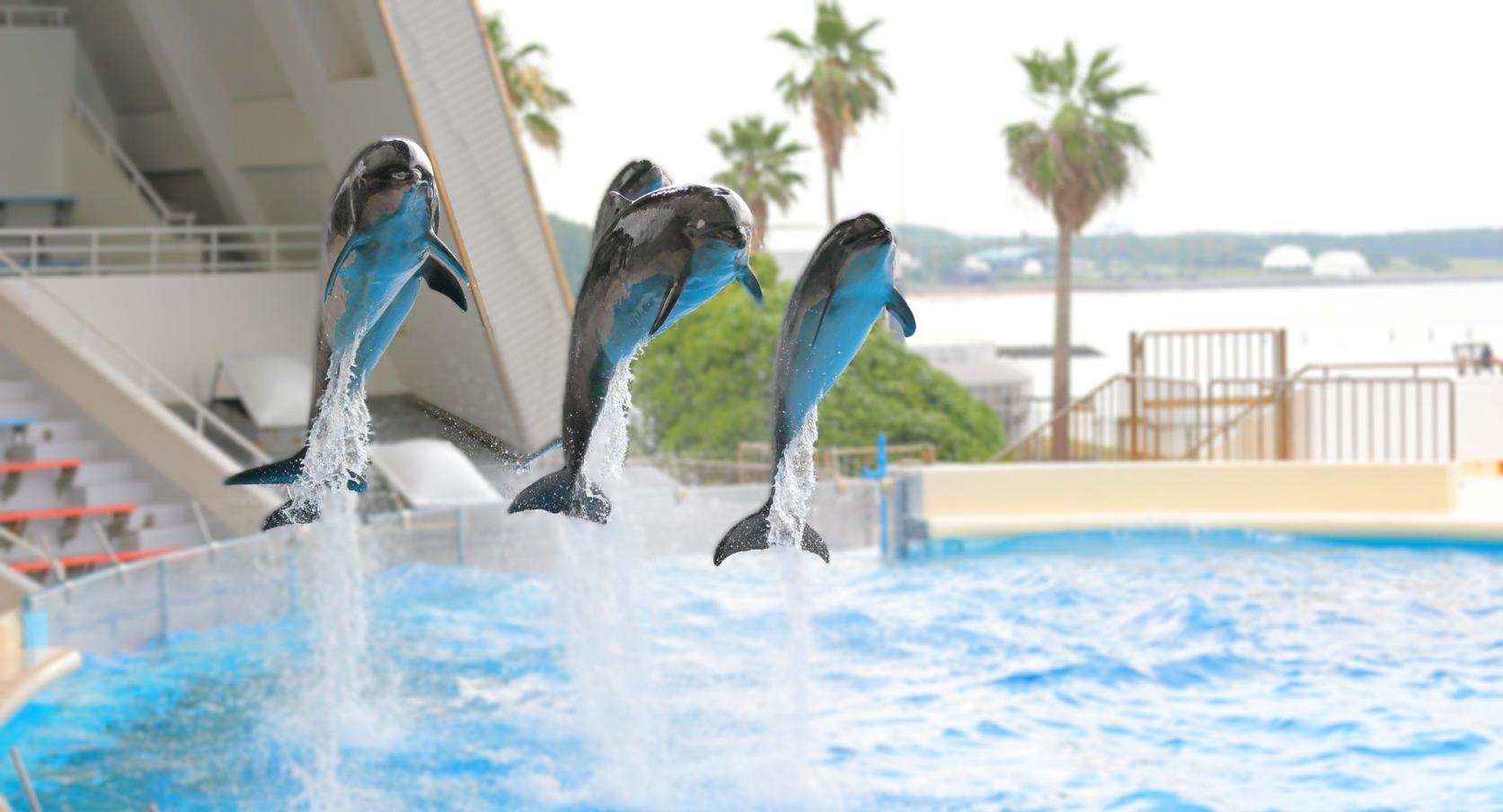海の中道海浜公園とマリンワールドってどんなところ？人気スポットを徹底解説！-1