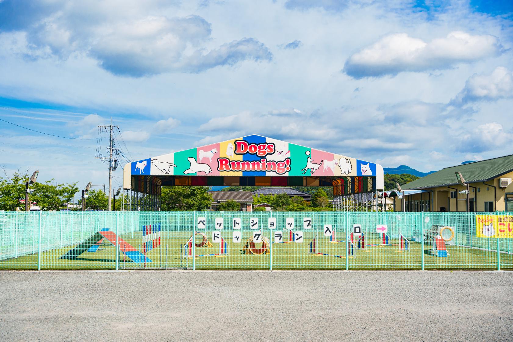 ペットショップ おおとう桜街道 DogRan（ドッグラン）-0