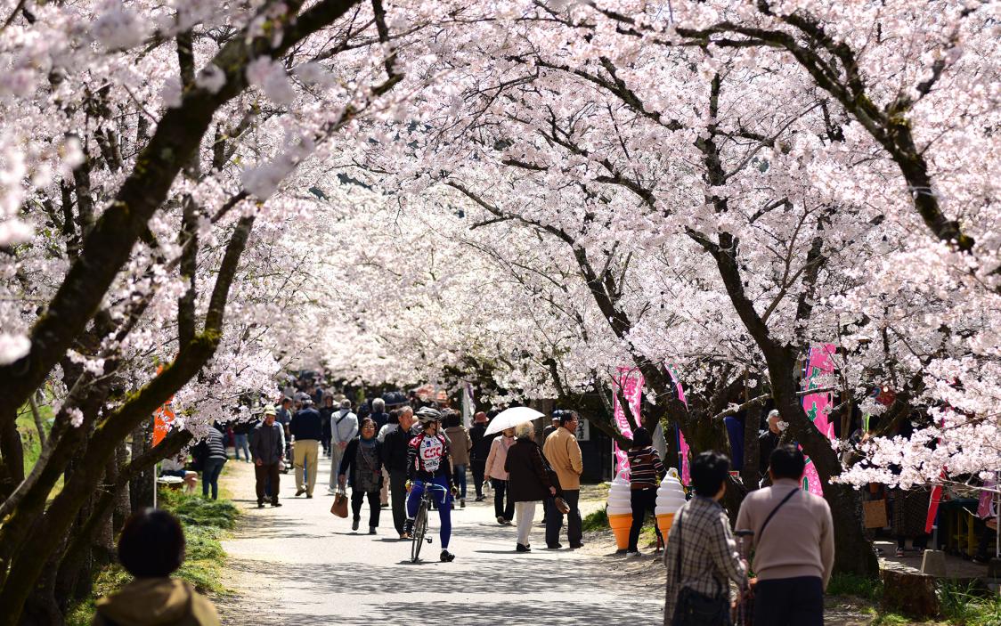 秋月城跡 | 観光スポット | 【公式】福岡県の観光/旅行情報サイト「クロスロードふくおか」