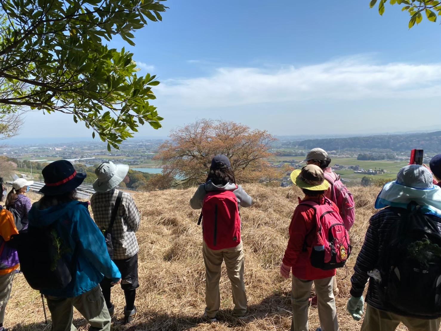 才尾の一本桜見晴らしの丘コース-4