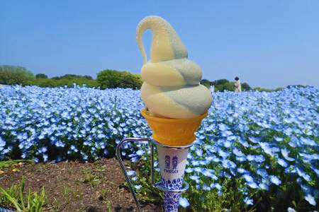 ネモフィラ-0