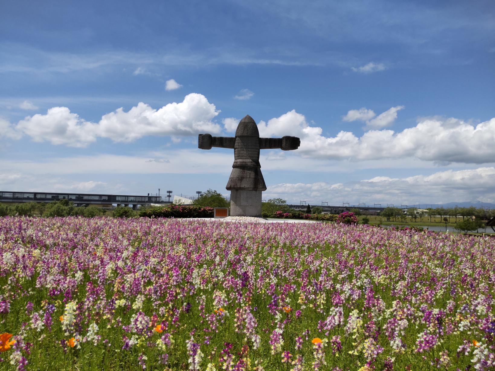 ワイルドフラワー-2