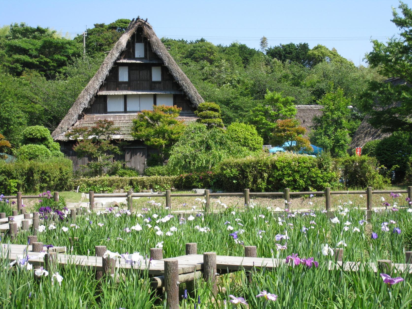 Minjia Village Nature Park-1