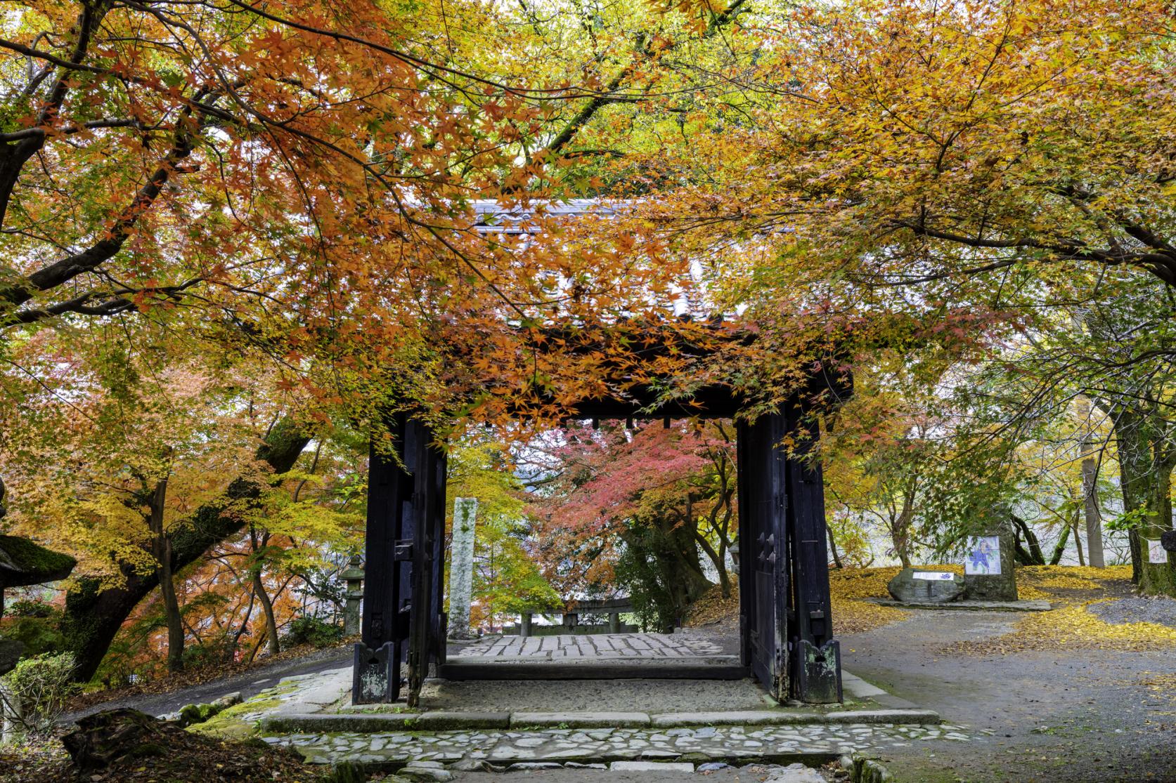 Autumn leaves at the Black Gate-1