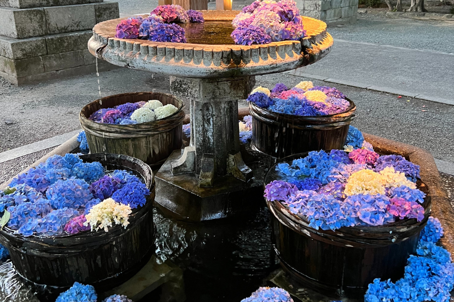 三柱神社の花手水-0