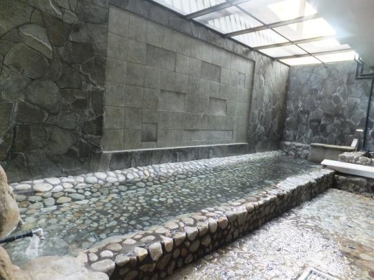 Hakata Hot Springs & Inn, Fujinoen-1