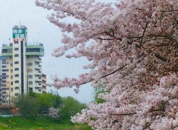 博多溫泉旅館  富士苑-4