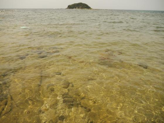 藍島-4