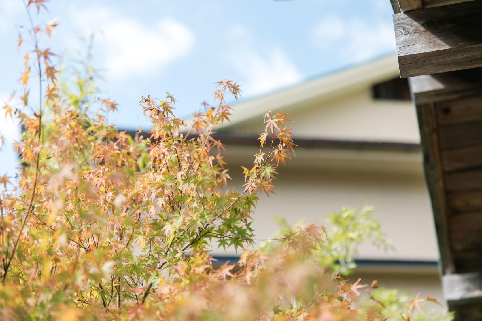 溫泉飯店 楠水閣-5