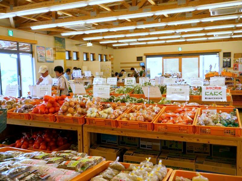 Agricultural and forestry products direct sales store, Tsuzoko Shikisaikan