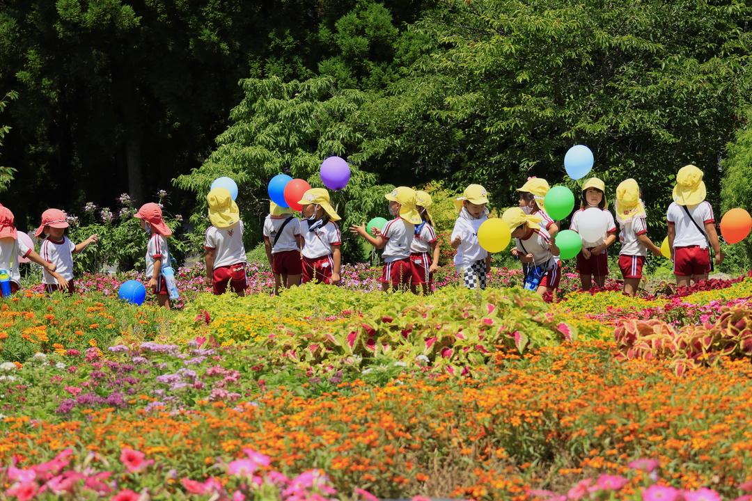 福智山麓鲜花公园-1