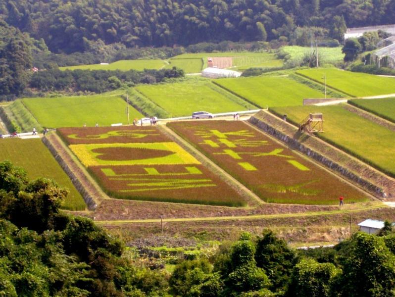 二丈赤米産直センター-2