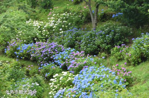 Shiraito Falls Fureai-no-sato-3