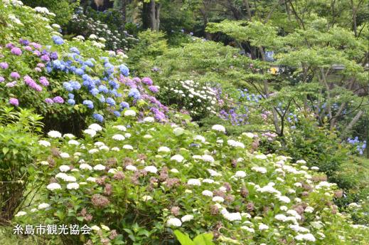 Shiraito Falls Fureai-no-sato-1