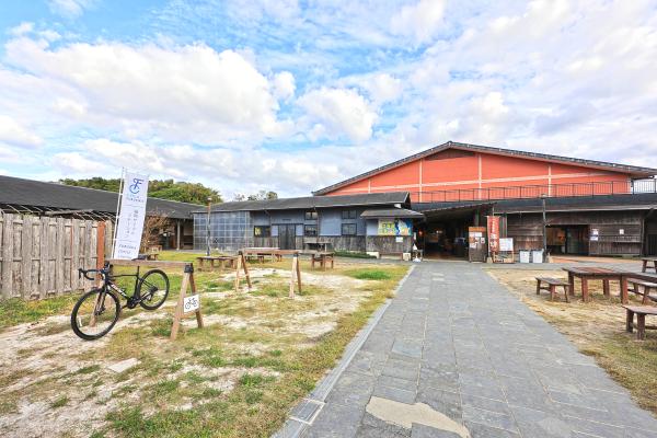 魚直銷販賣所 TOTO市場蘆屋-1
