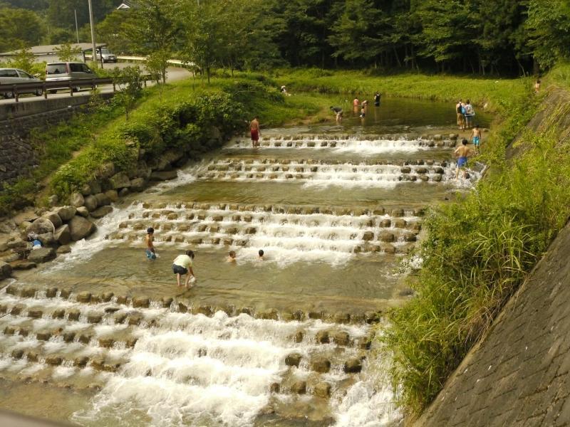 蓬特森林野营场-5