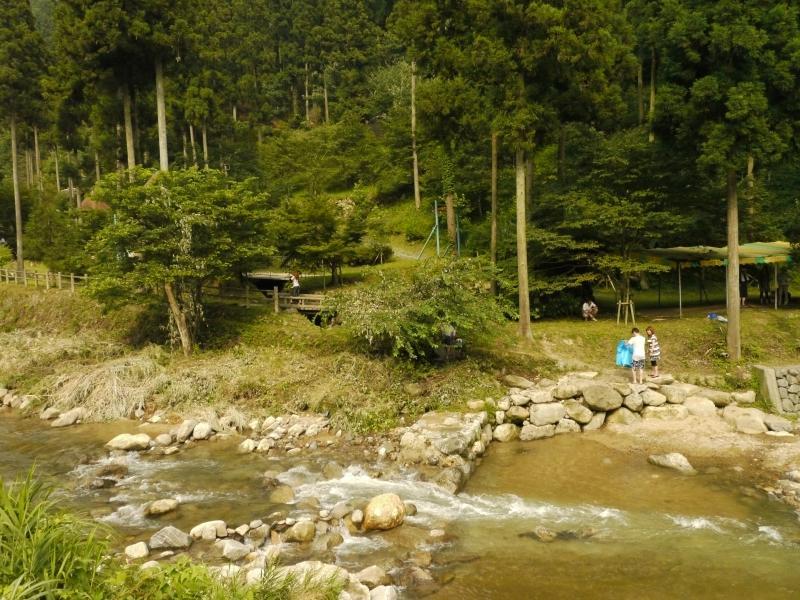 蓬特森林野營場-4