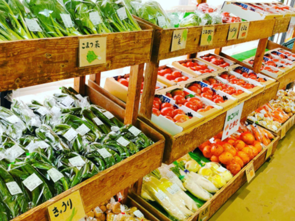 糸島ねぎぼうず-1