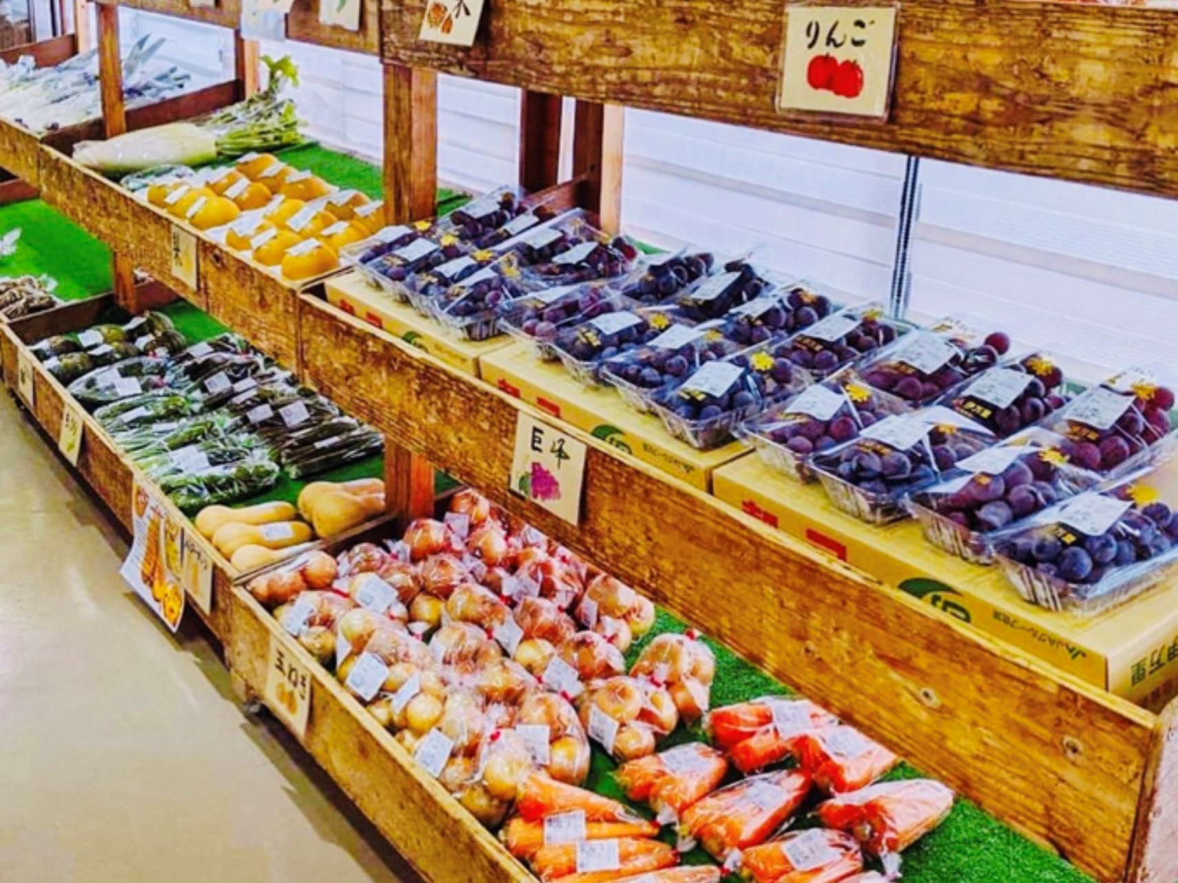 糸島ねぎぼうず-2