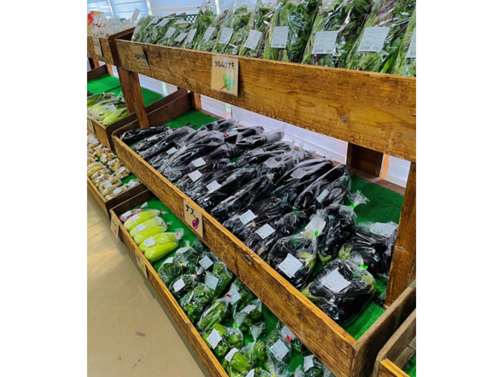 糸島ねぎぼうず-3