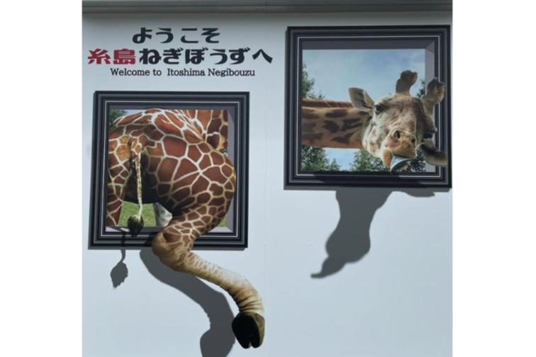 糸島ねぎぼうず-8