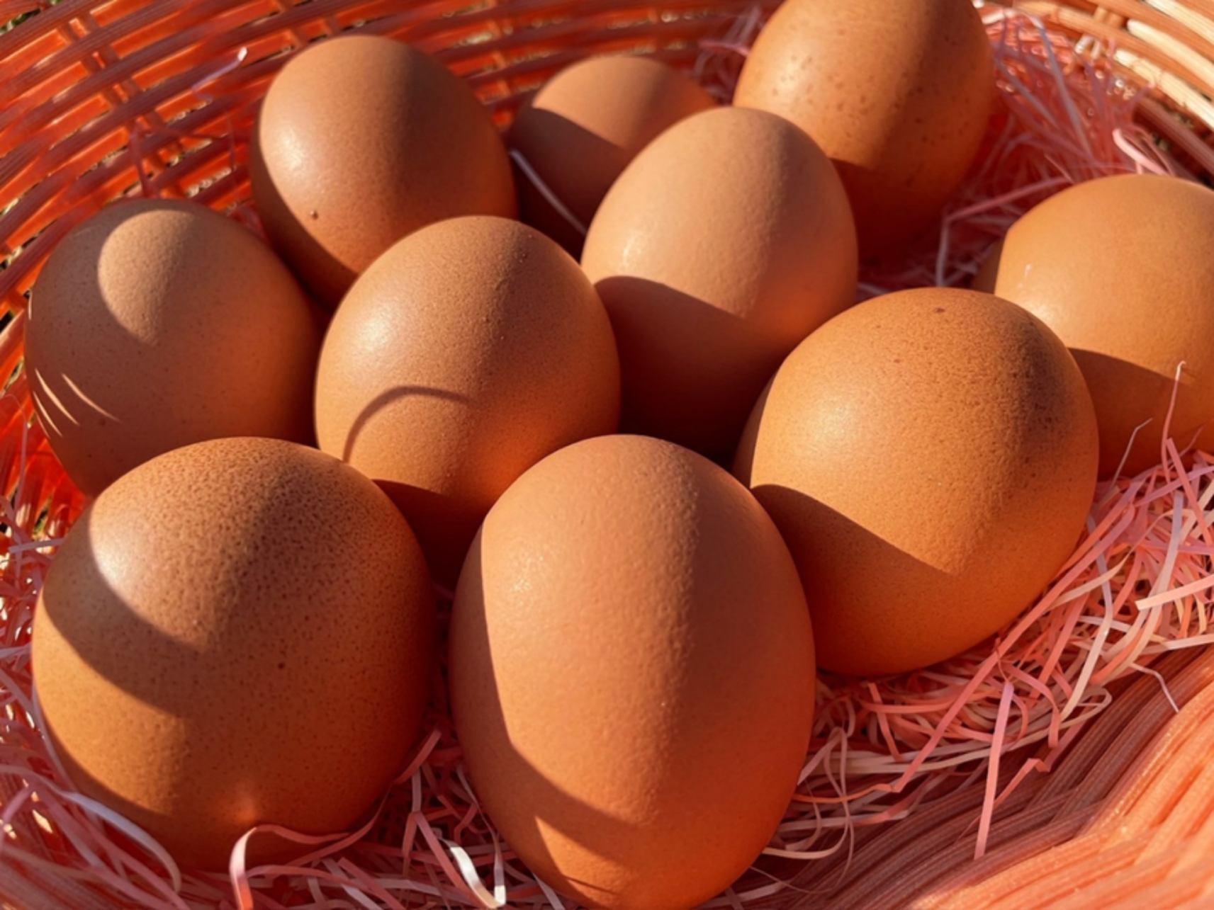 糸島ねぎぼうず-4