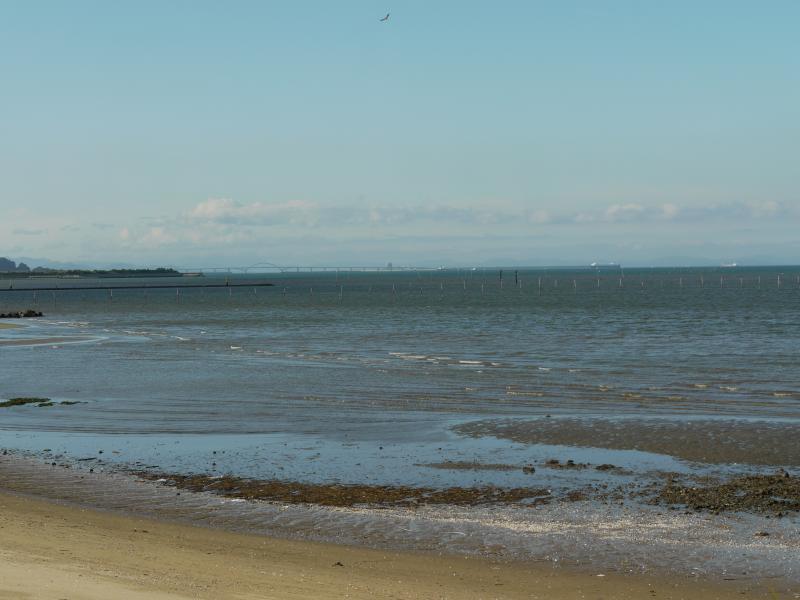 蓑島海水浴場-3