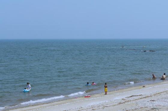 蓑島海水浴場-2