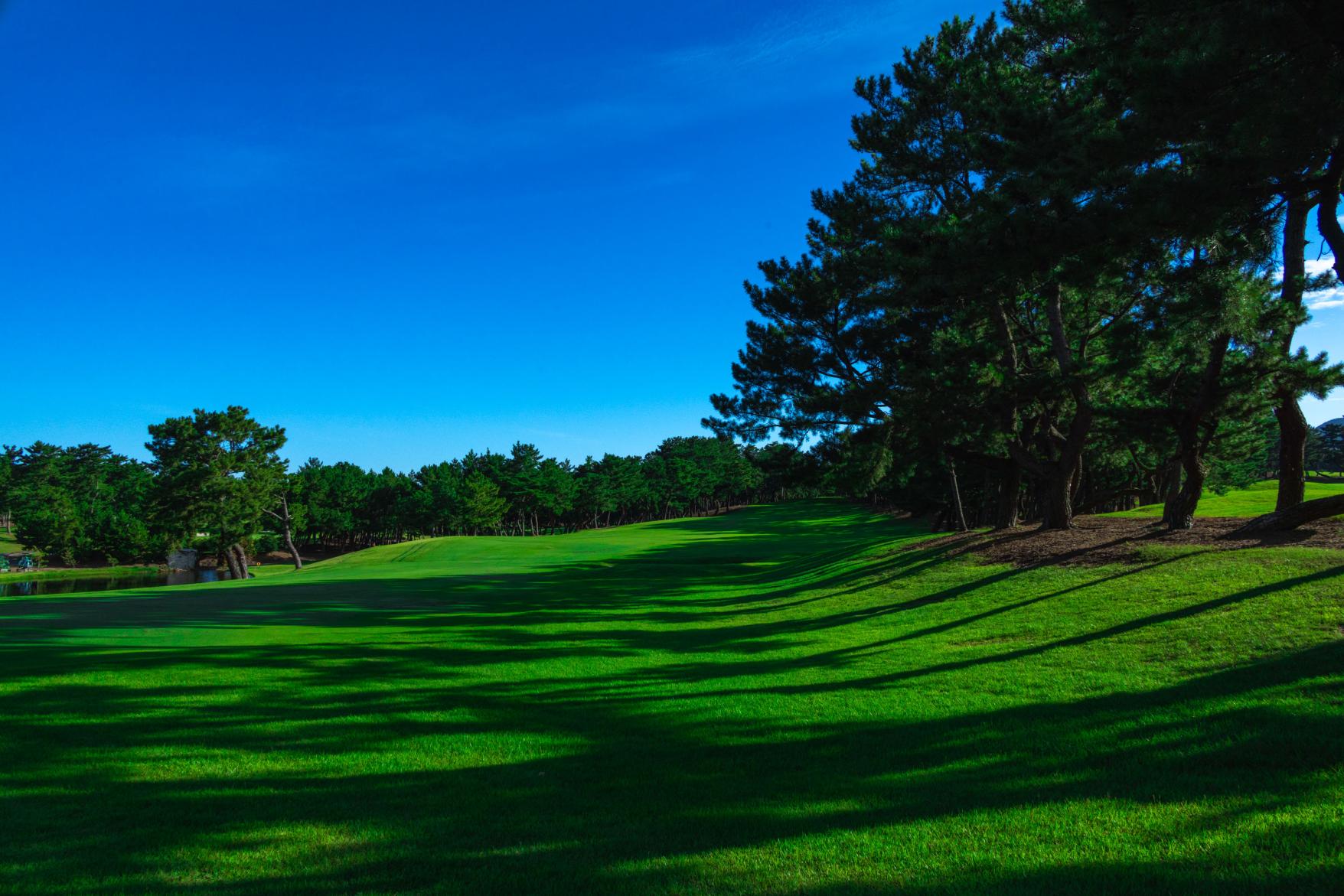 Genkai Golf Club-2