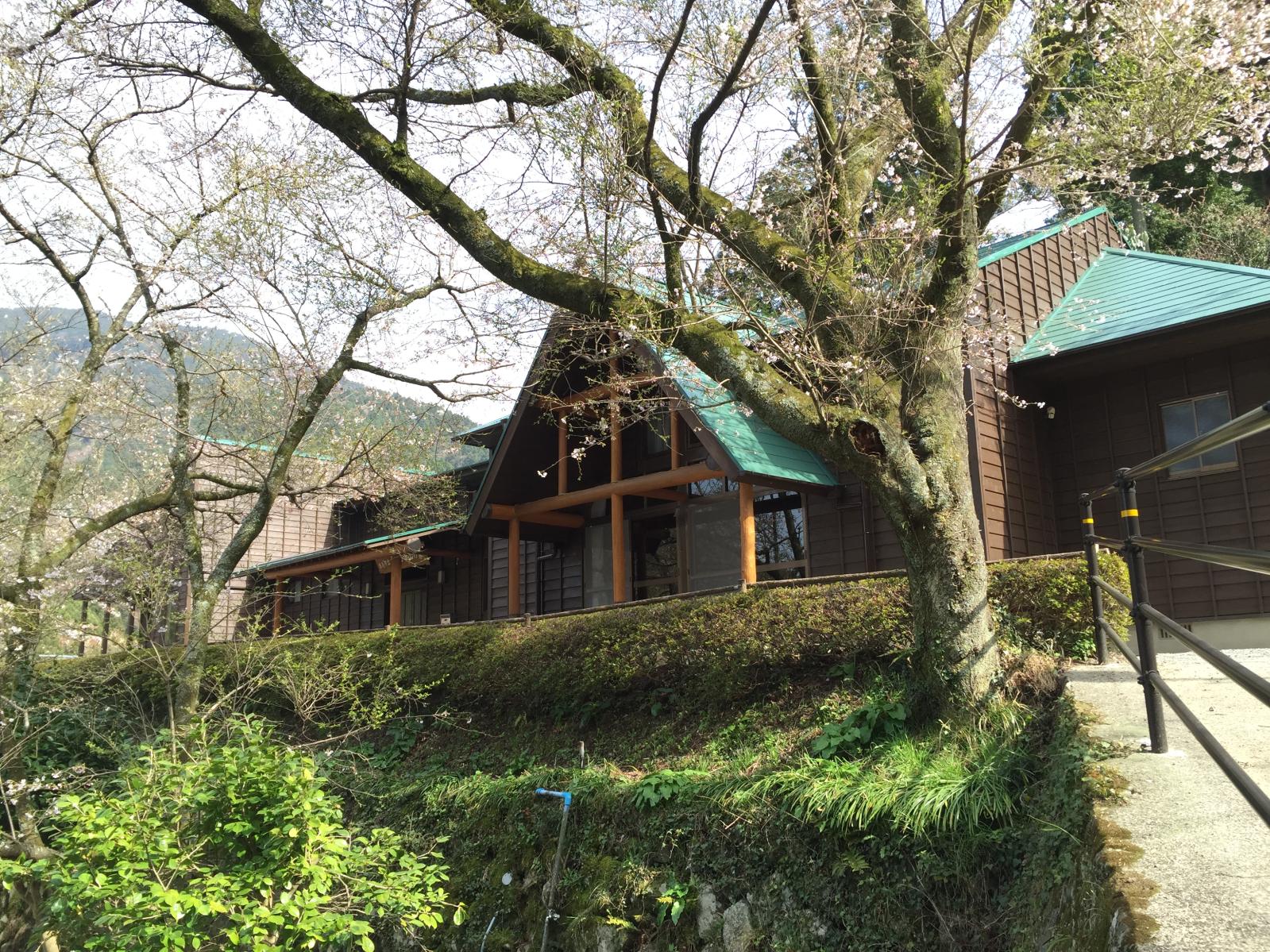 瑞梅寺山の家