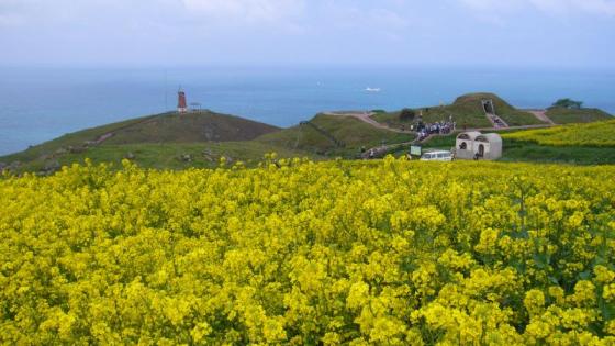 大島の遊歩道-1