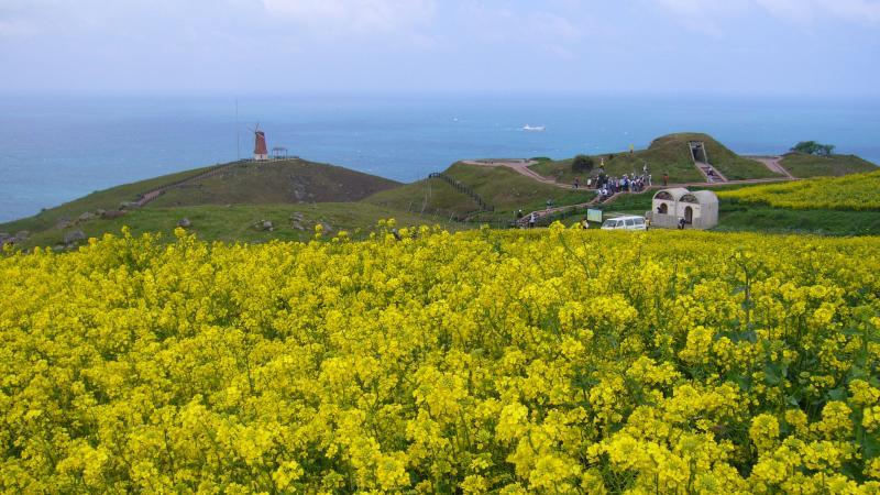 大島の遊歩道-1