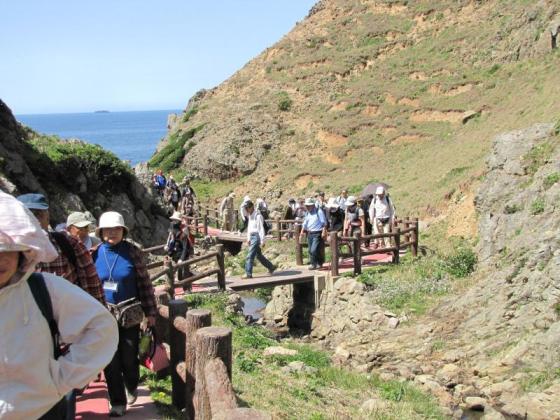 大島の遊歩道-2