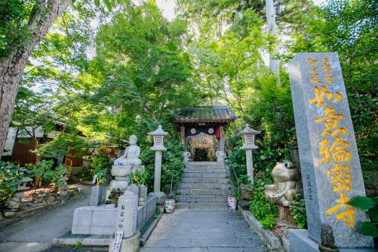 如意輪寺（蛙寺）-0