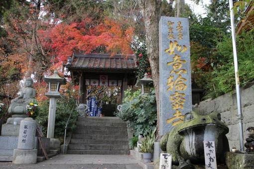 Nyoirinji Temple (Frog Temple)-1
