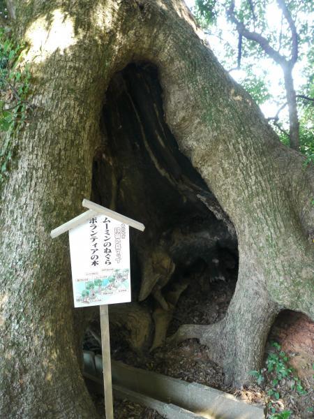 【古賀市・五所八幡宮】ムーミンの木-2