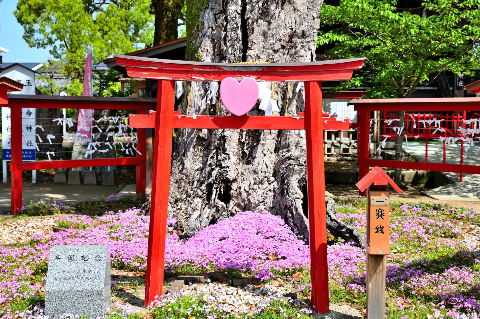 Koinoki Shrine-6