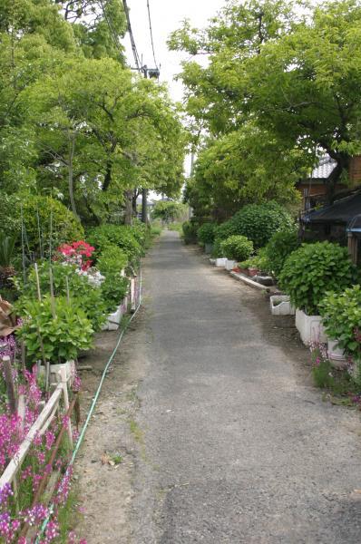 柳川街道（田中道）跡-0