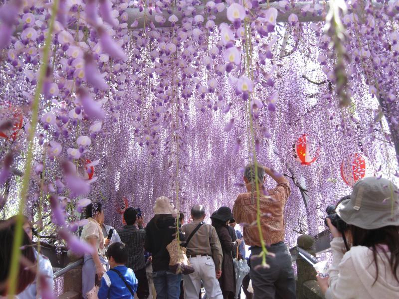 立花いこいの森-2